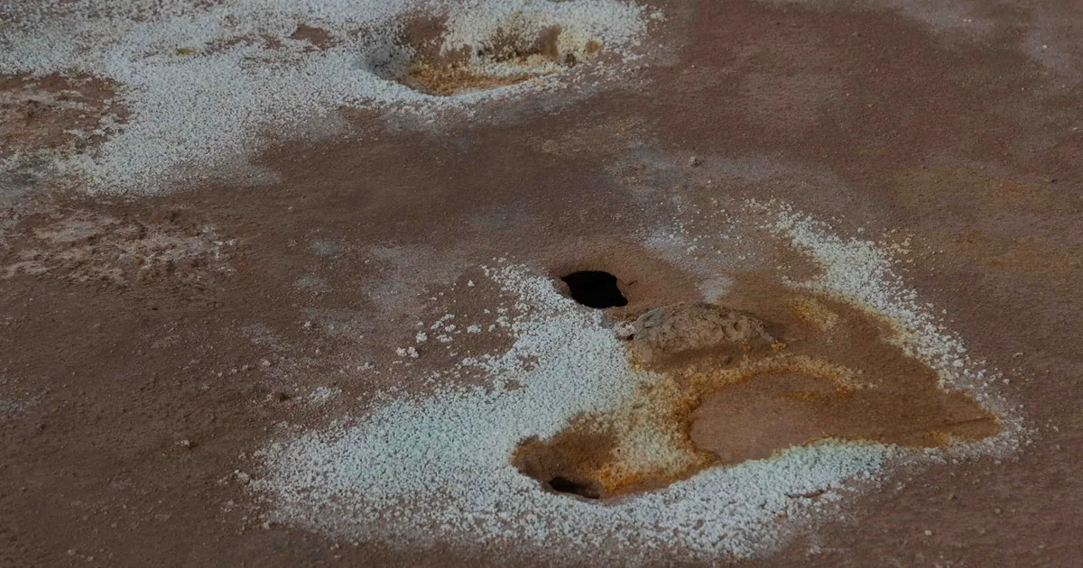 melhor lava e seca — Adeus manchas amarelas nas axilas: como a minha lava e seca salvou as camisetas
